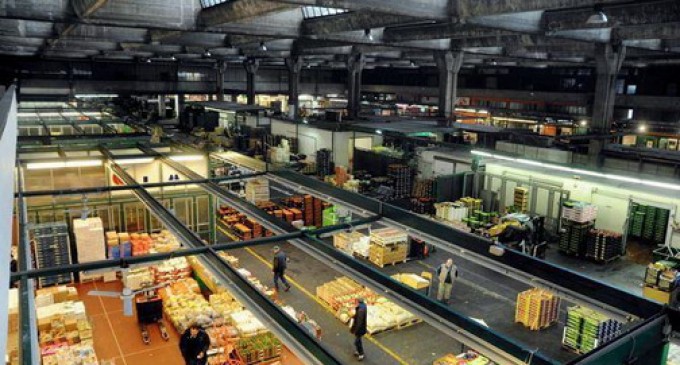 Ortomercati aperti di giorno