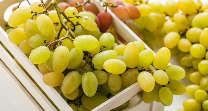 Tutta la filiera promuove l’uva da tavola italiana