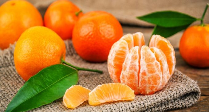 Tutta la filiera promuove le clementine italiane