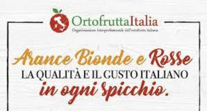 È il momento giusto per consumare le arance italiane