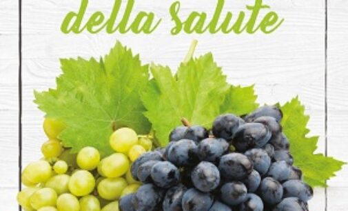 Tutta la filiera promuove l’uva da tavola
