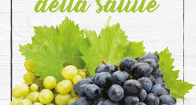 Tutta la filiera promuove l’uva da tavola