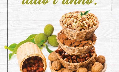 Dentro al guscio un pieno di salute…tutto l’anno