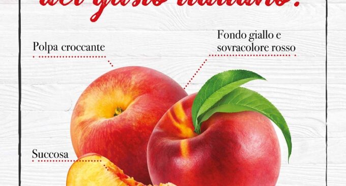 Pesche e nettarine, siamo al top della qualità della produzione nazionale